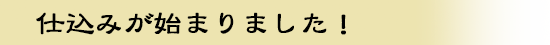 仕込みが始まりました!