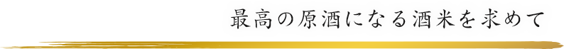 最高の原酒になる酒米を求めて